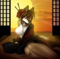/album/female-wolf-fox/tumblr-me4aj8wngl1rx6x3eo1-1280-jpg/
