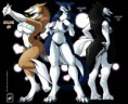 /album/female-sergal/cb9a8c60fefa2e482ba3783f6c218a26-jpg/